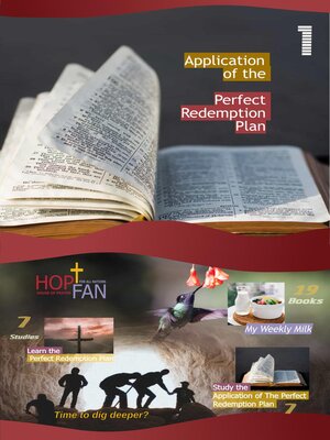 cover image of Application of the Perfect Redemption Plan 1
